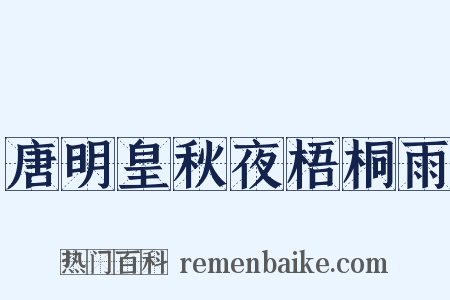 唐明皇秋夜梧桐雨是什么意思的图片